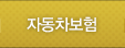 자동차보험